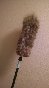 duster