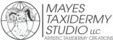 Mayes Taxidermy Studio
