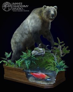 brown bear lamers 1 copy