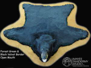Bear rug, forest green and black border, open mouth_edited-3 copy
