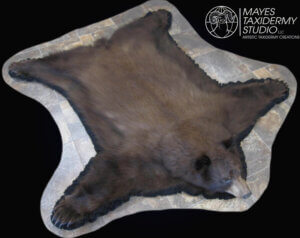 Bear rug, mouth closed copy