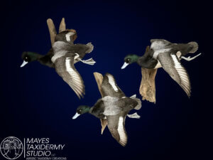 IMG_1792 copy