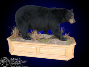 bear 2 copy
