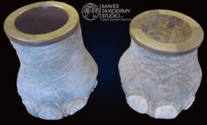 Elephant feet walnut top copy